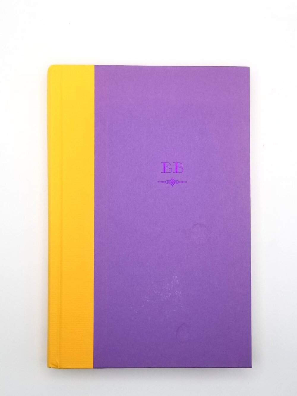 The Light of Paris Eleanor Brown Hardcover Novel